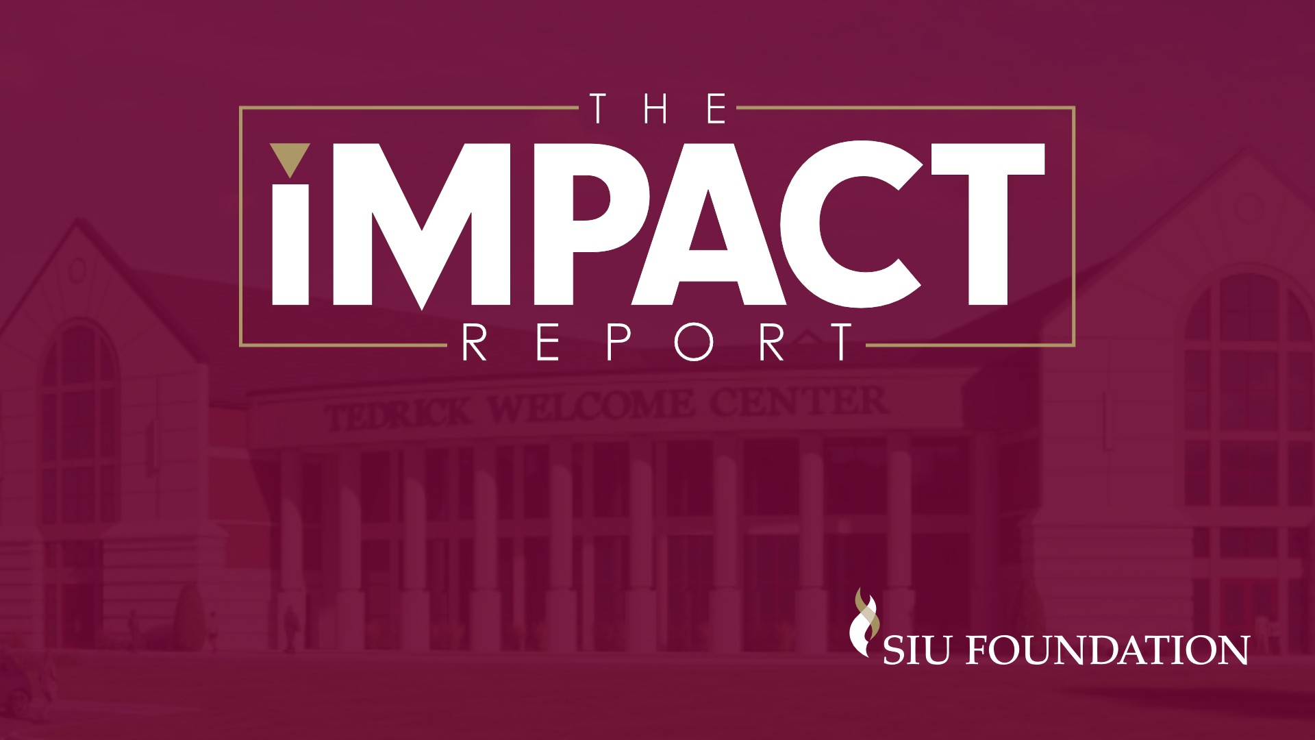 The Impact Report logo