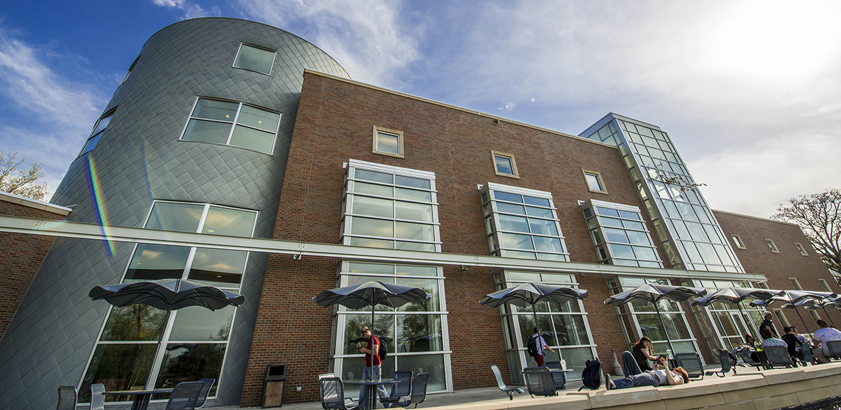 SIU Morris Library